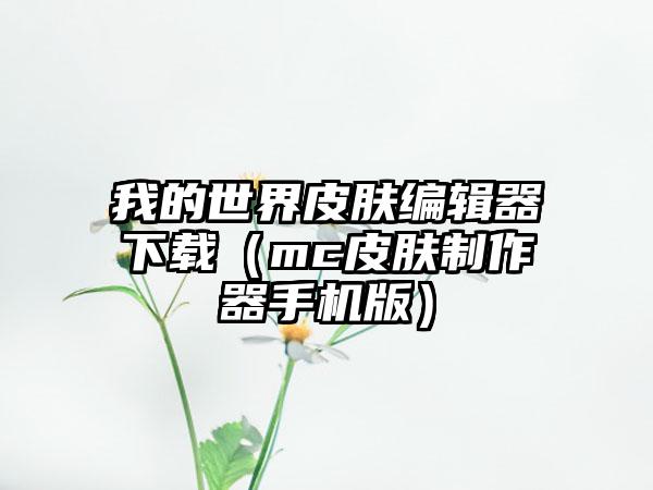 我的世界皮肤编辑器（mc皮肤制作器手机版）