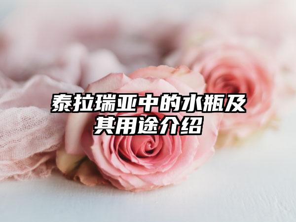 泰拉瑞亚中的水瓶及其用途介绍