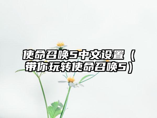 使命召唤5中文设置（带你玩转使命召唤5）
