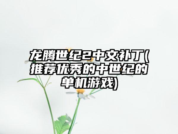 龙腾世纪2中文补丁(推荐优秀的中世纪的单机游戏)