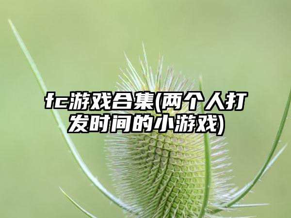 fc游戏合集(两个人打发时间的小游戏)