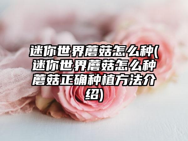 迷你世界蘑菇怎么种(迷你世界蘑菇怎么种蘑菇正确种植方法介绍)