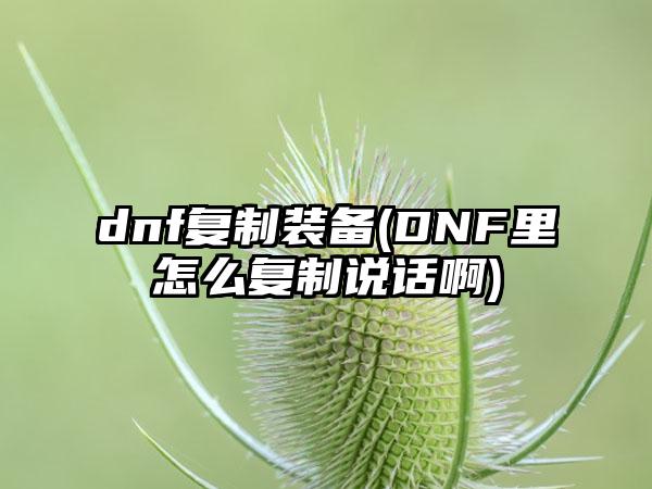 dnf复制装备(DNF里怎么复制说话啊)