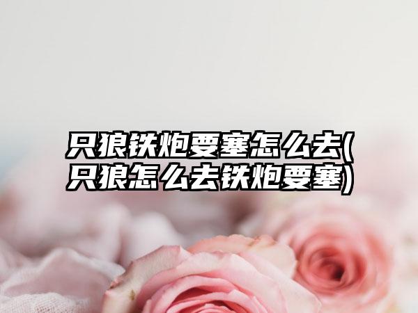 只狼铁炮要塞怎么去(只狼怎么去铁炮要塞)