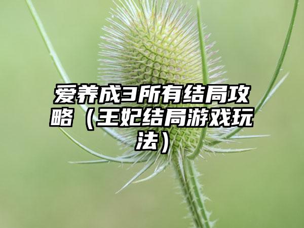 爱养成3所有结局攻略（王妃结局游戏玩法）