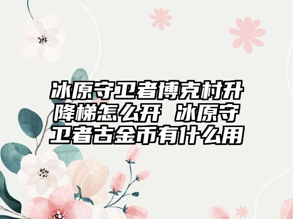 冰原守卫者博克村升降梯怎么开 冰原守卫者古金币有什么用