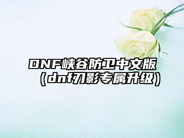 DNF峡谷防卫中文版（dnf刃影专属升级）