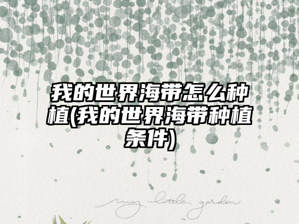 我的世界海带怎么种植(我的世界海带种植条件)