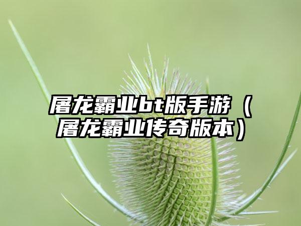 屠龙霸业bt版手游（屠龙霸业传奇版本）