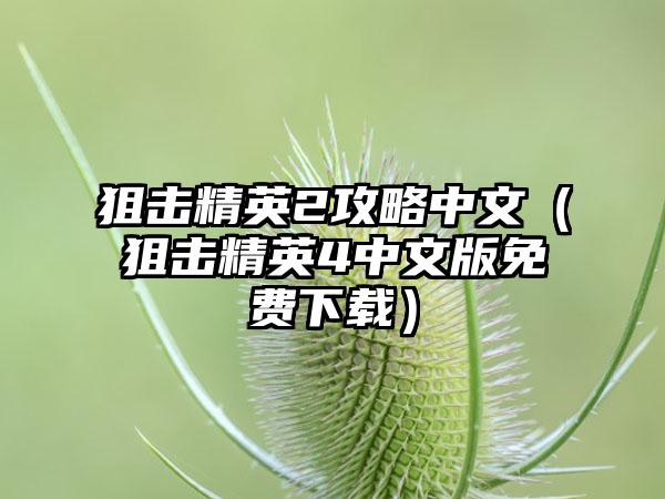 狙击精英2攻略中文（狙击精英4中文版免费）