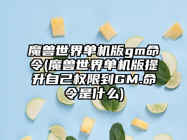 魔兽世界单机版gm命令(魔兽世界单机版提升自己权限到GM.命令是什么)