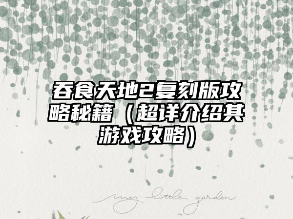 吞食天地2复刻版攻略秘籍（超详介绍其游戏攻略）
