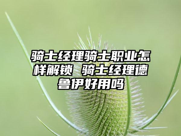 骑士经理骑士职业怎样解锁 骑士经理德鲁伊好用吗