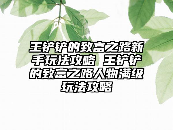 王铲铲的致富之路新手玩法攻略 王铲铲的致富之路人物满级玩法攻略