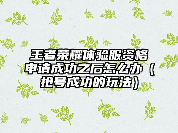 王者荣耀体验服资格申请成功之后怎么办（抢号成功的玩法）