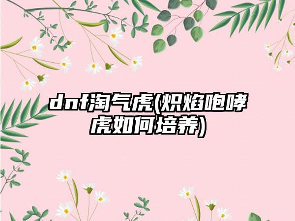 dnf淘气虎(炽焰咆哮虎如何培养)