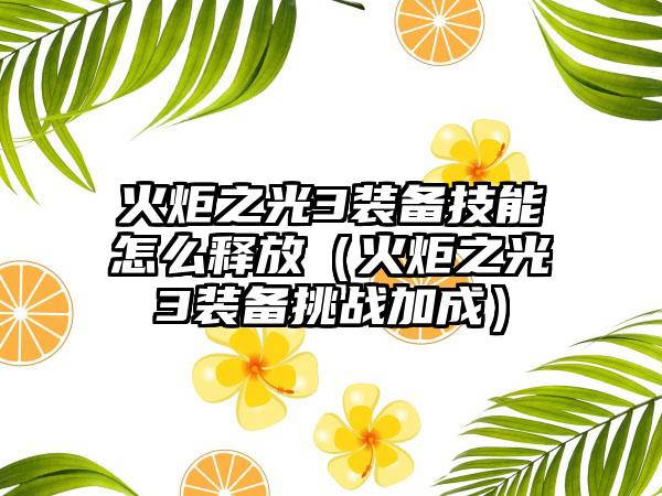 火炬之光3装备技能怎么释放（火炬之光3装备挑战加成）
