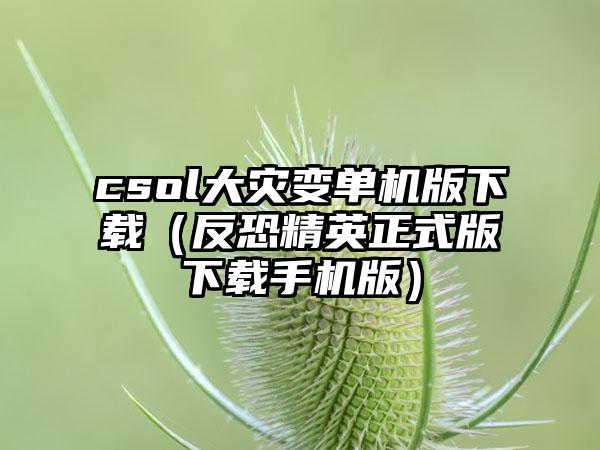 csol大灾变单机版下载（反恐精英正式版下载手机版）