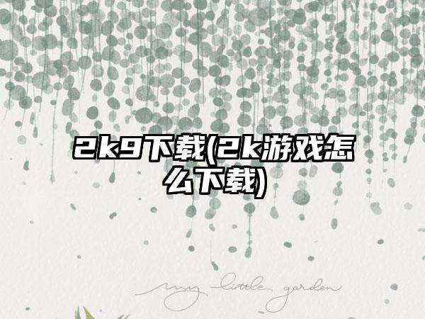 2k9(2k游戏怎么)