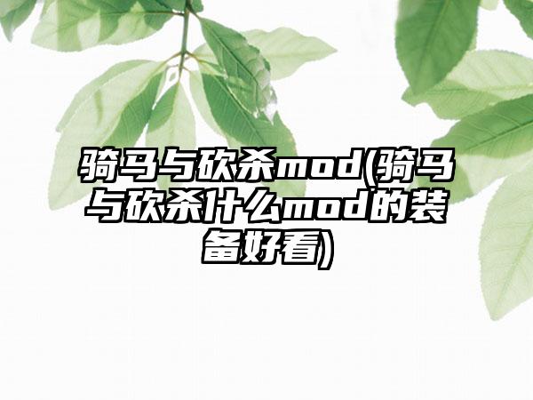 骑马与砍杀mod(骑马与砍杀什么mod的装备好看)