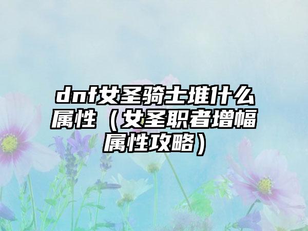 dnf女圣骑士堆什么属性（女圣职者增幅属性攻略）