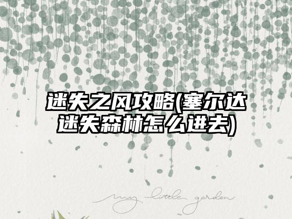 迷失之风攻略(塞尔达迷失森林怎么进去)