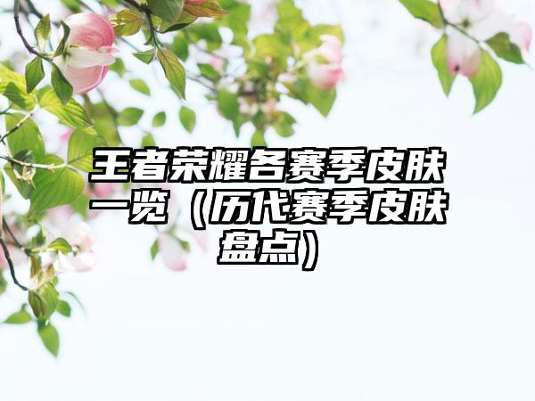 王者荣耀各赛季皮肤一览（历代赛季皮肤盘点）