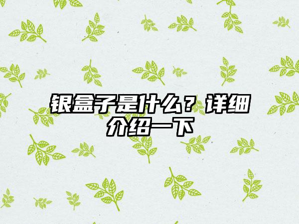 银盒子是什么？详细介绍一下