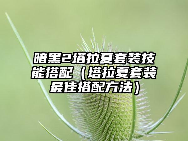暗黑2塔拉夏套装技能搭配（塔拉夏套装最佳搭配方法）