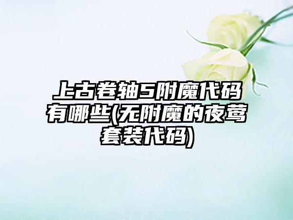 上古卷轴5附魔代码有哪些(无附魔的夜莺套装代码)
