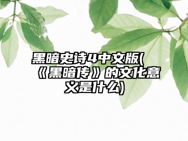黑暗史诗4中文版(《黑暗传》的文化意义是什么)