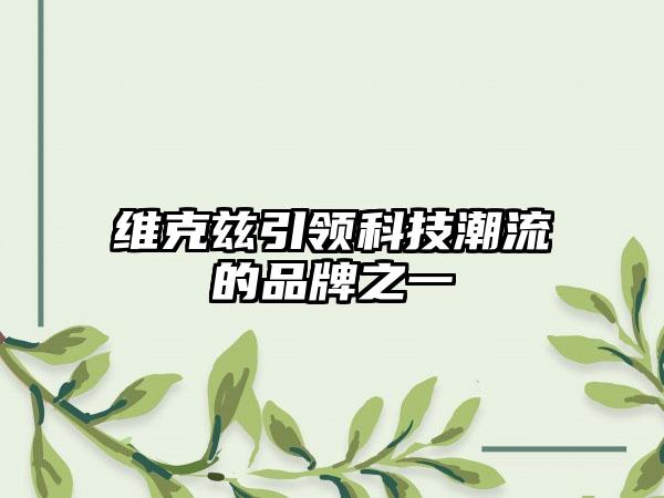 维克兹引领科技潮流的品牌之一