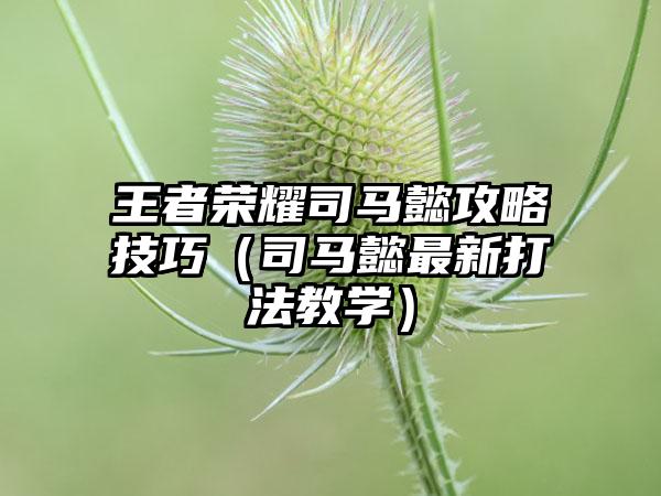 王者荣耀司马懿攻略技巧（司马懿最新打法教学）