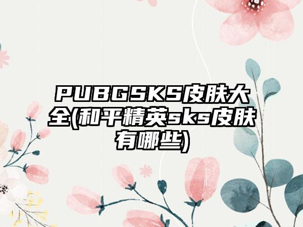 PUBGSKS皮肤大全(和平精英sks皮肤有哪些)