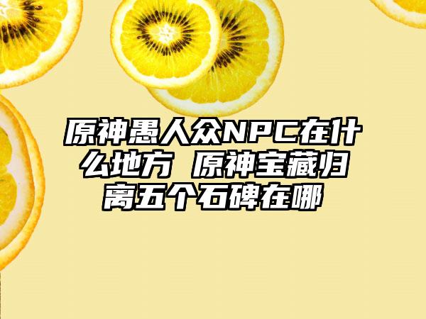 原神愚人众NPC在什么地方 原神宝藏归离五个石碑在哪