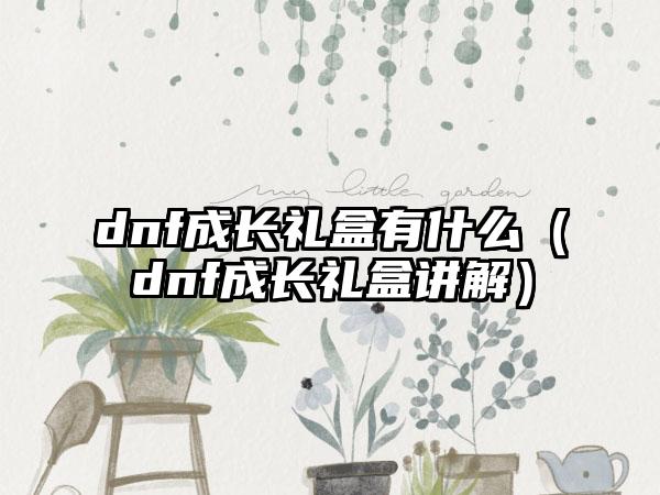 dnf成长礼盒有什么（dnf成长礼盒讲解）