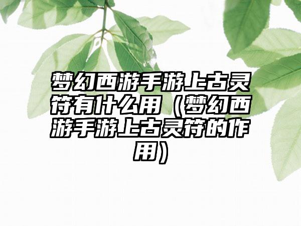 梦幻西游手游上古灵符有什么用（梦幻西游手游上古灵符的作用）