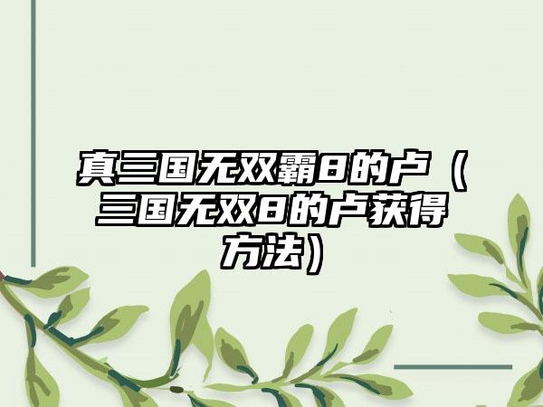 真三国无双霸8的卢（三国无双8的卢获得方法）