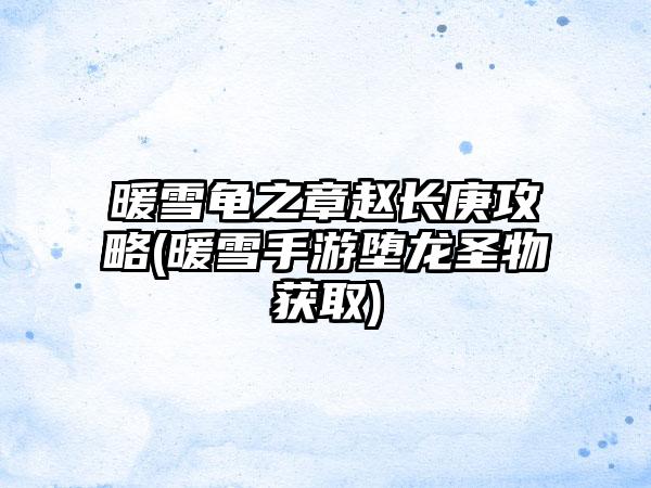 暖雪龟之章赵长庚攻略(暖雪手游堕龙圣物获取)