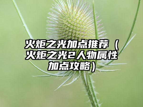 火炬之光加点推荐（火炬之光2人物属性加点攻略）