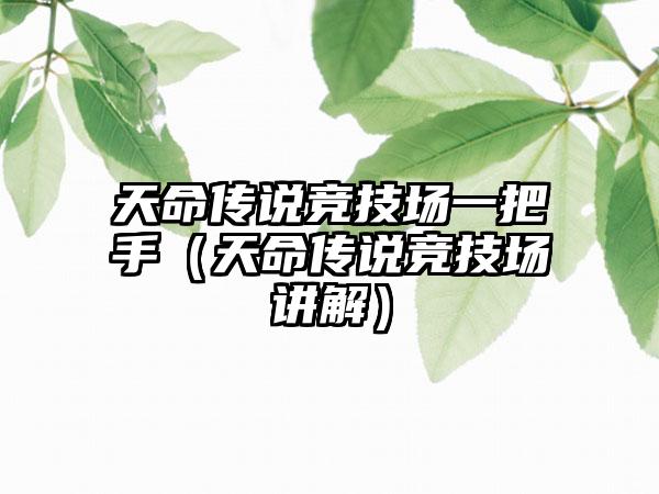 天命传说竞技场一把手（天命传说竞技场讲解）