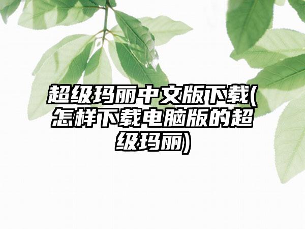 超级玛丽中文版(怎样电脑版的超级玛丽)