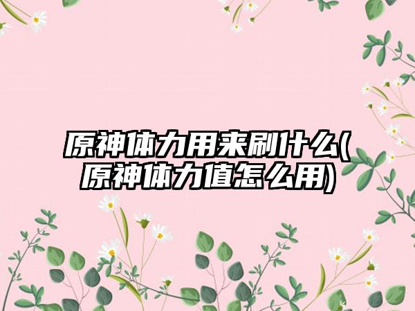 原神体力用来刷什么(原神体力值怎么用)