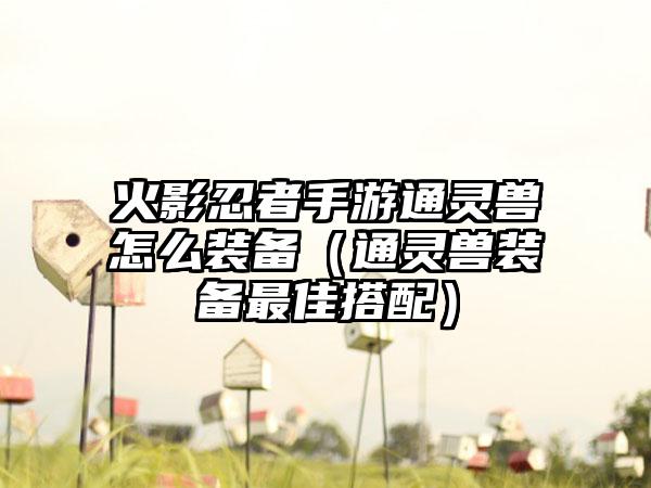 火影忍者手游通灵兽怎么装备（通灵兽装备最佳搭配）