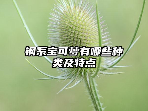 钢系宝可梦有哪些种类及特点