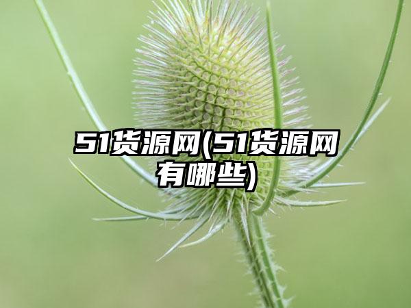 51货源网(51货源网有哪些)
