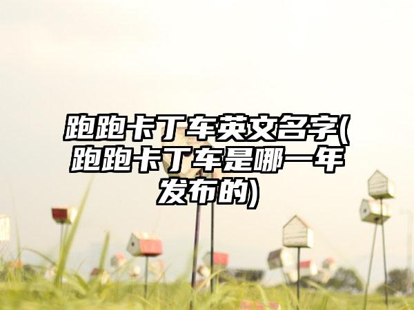 跑跑卡丁车英文名字(跑跑卡丁车是哪一年发布的)