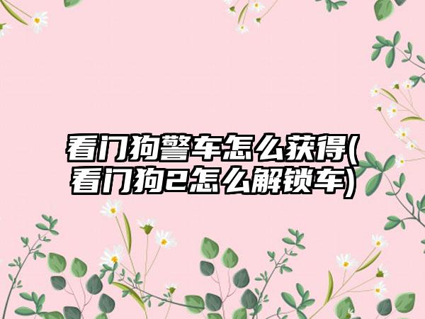 看门狗警车怎么获得(看门狗2怎么解锁车)