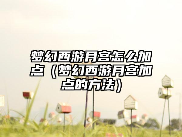 梦幻西游月宫怎么加点（梦幻西游月宫加点的方法）