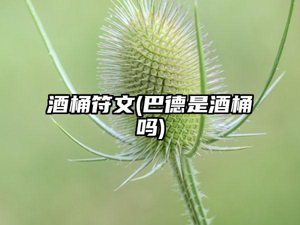 酒桶符文(巴德是酒桶吗)